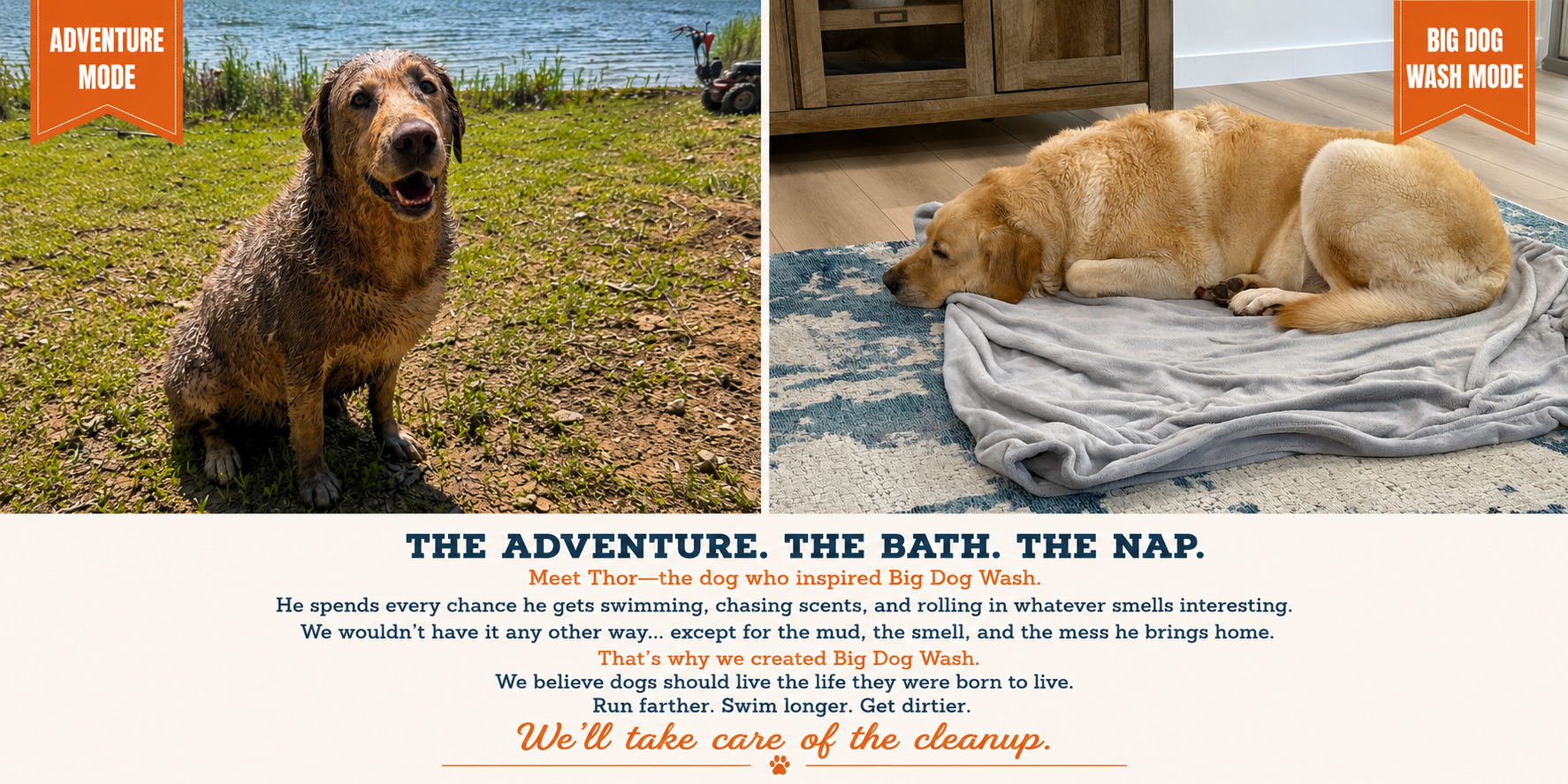 Thor in Adventure Mode and Big Dog Wash Mode — the dog who inspired Big Dog Wash