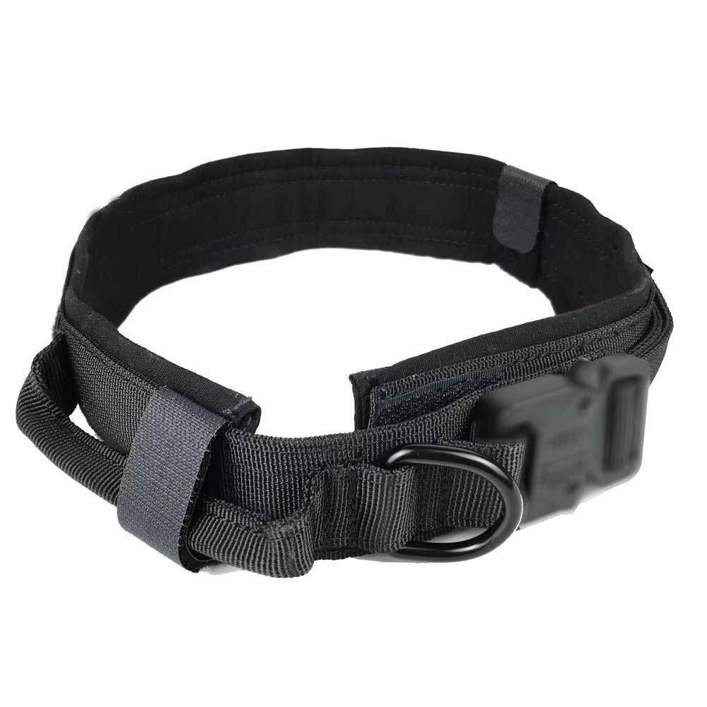 Black dog collar with a buckle on a white background