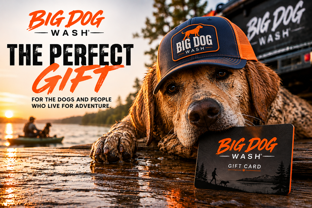 Big Dog Wash Gift Card