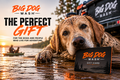 Big Dog Wash Gift Card
