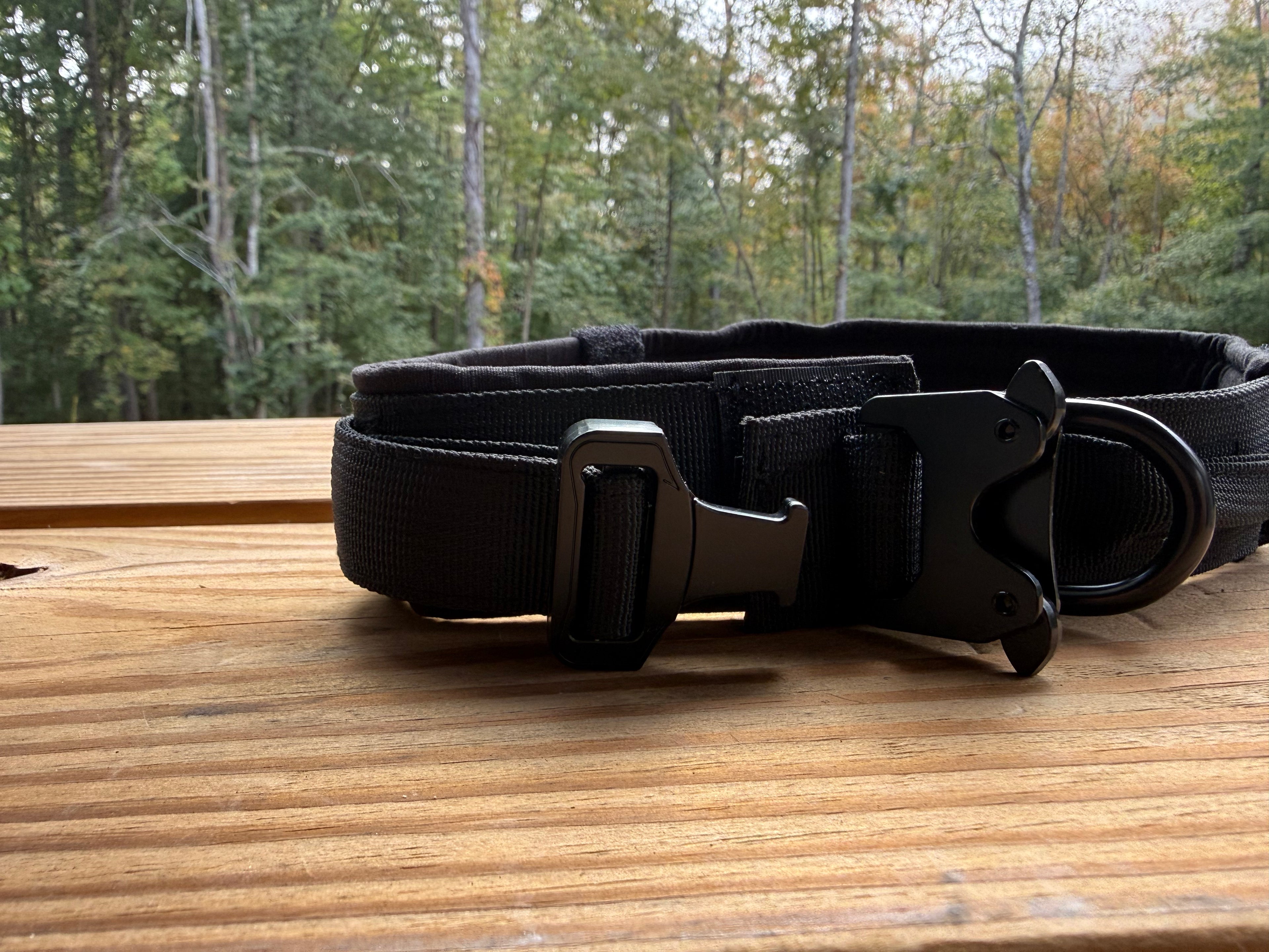 Metal Buckle Large Dog Collar in Black